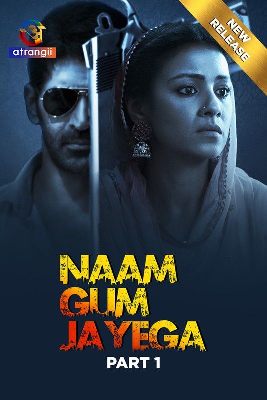 Naam Gum Jayega (2024) S01 Part 1 Hindi Atrangii Web Series download full movie
